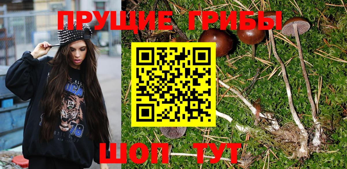 Псилоцибиновые грибы MAGIC MUSHROOMS  Галлюциногенные грибы ЛСД  Вход с VPN  Красный Сулин 